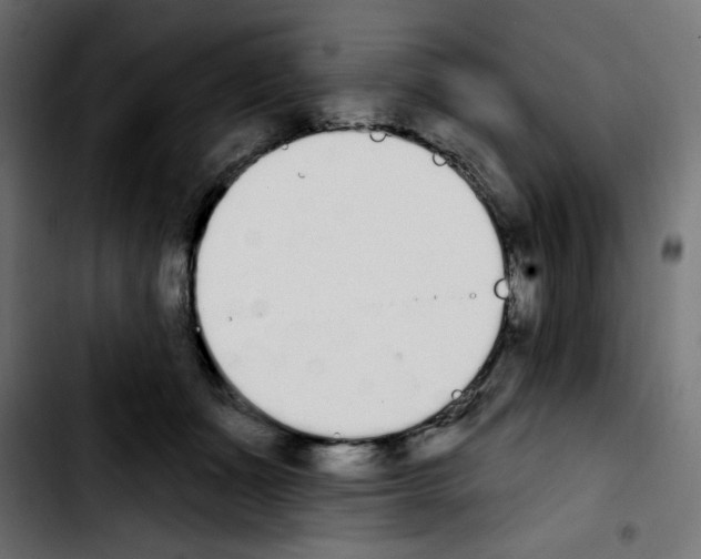 X0000103930511200810311520