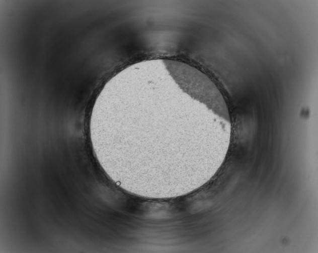 X0000103930512200810311520
