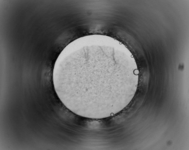 X0000103930513200810311520