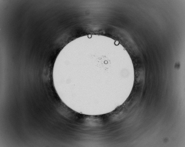 X0000103930515200810311520