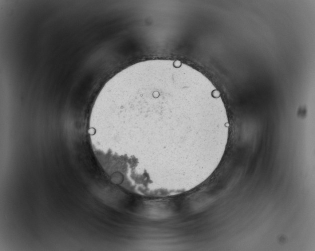 X0000103930516200810311520