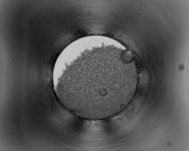 X0000103930517200810311520