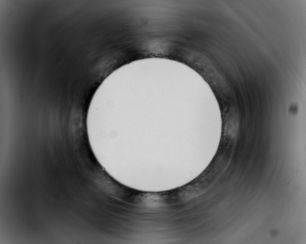 X0000103930518200810311520
