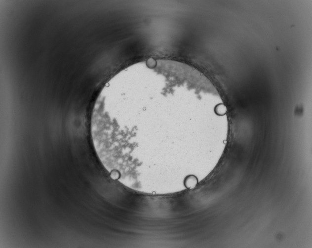 X0000103930520200810311520