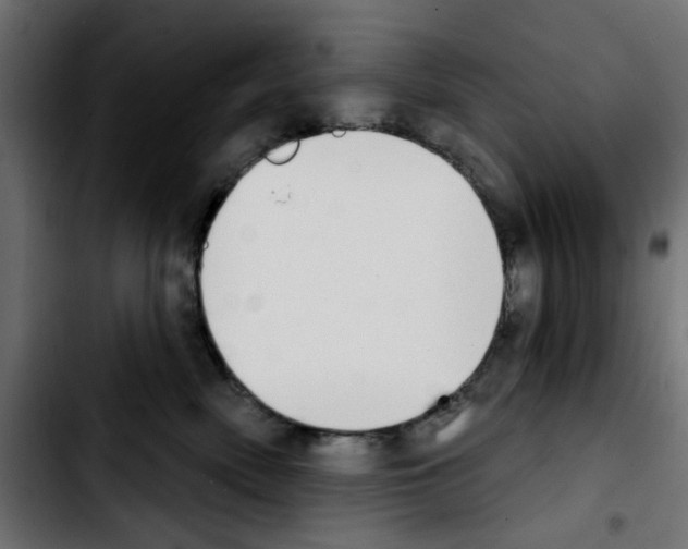 X0000103930522200810311520