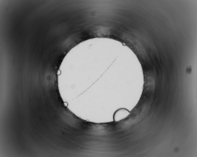 X0000103930523200810311520