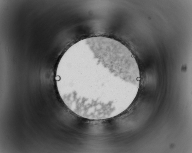 X0000103930524200810311520