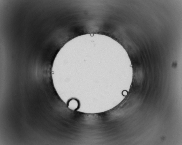 X0000103930525200810311520
