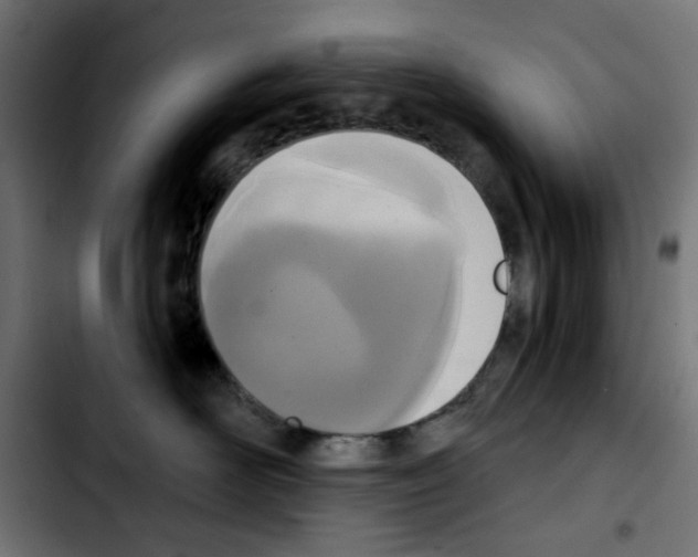 X0000103930526200810311520