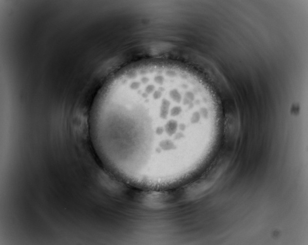 X0000103930527200810311520