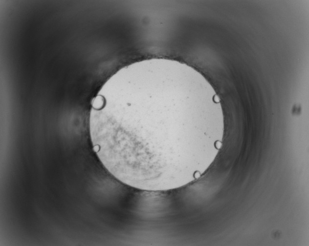 X0000103930528200810311520