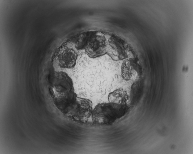 X0000103930529200810311519