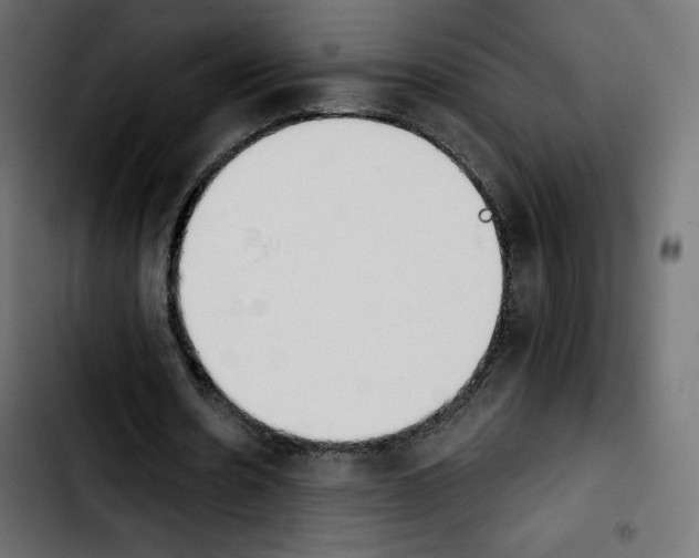 X0000103930530200810311519