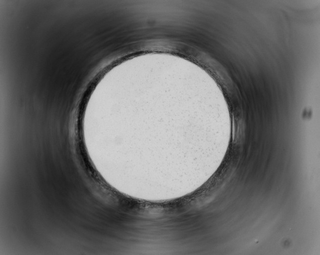 X0000103930531200810311519