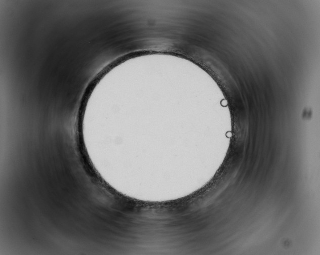X0000103930532200810311519