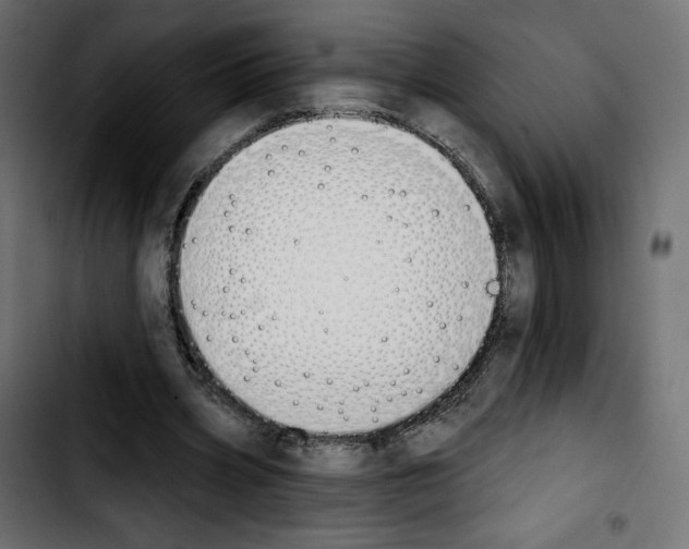 X0000103930533200810311519