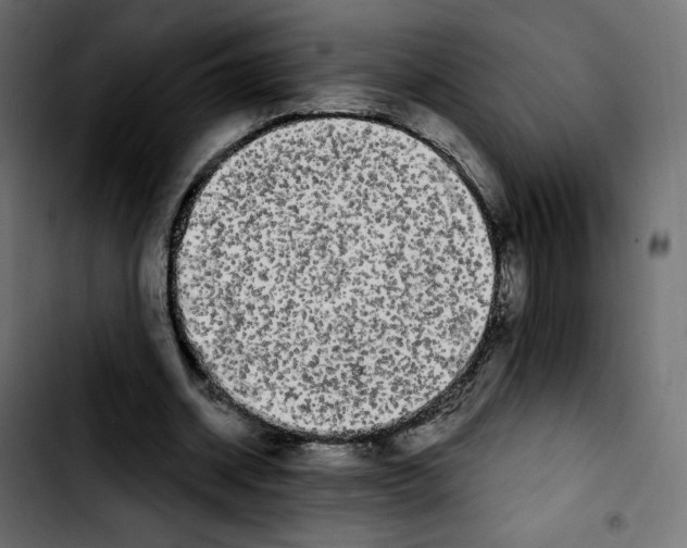 X0000103930534200810311519