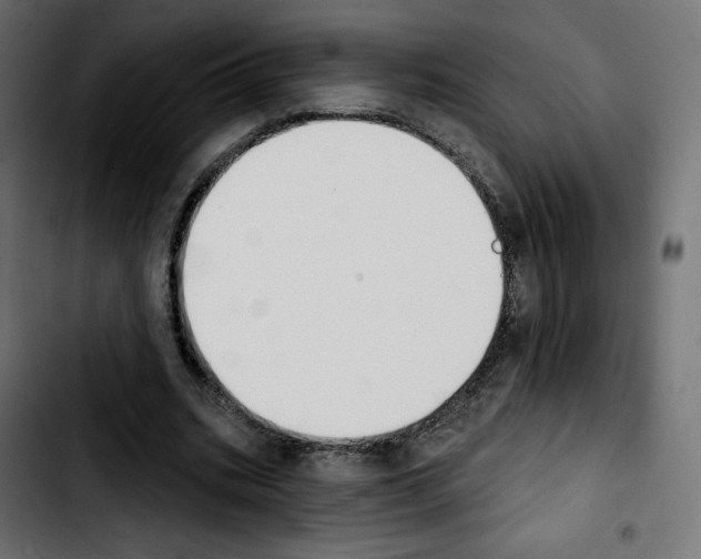 X0000103930535200810311519