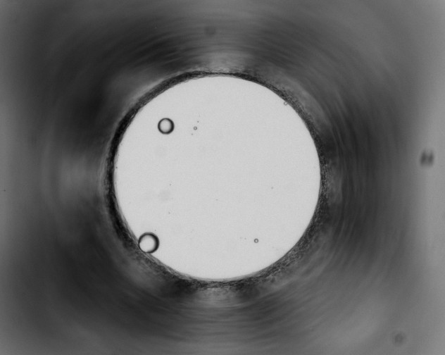 X0000103930536200810311519