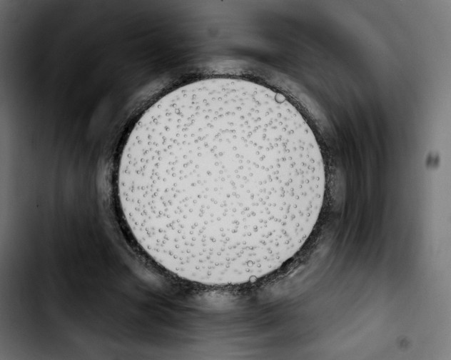 X0000103930537200810311519
