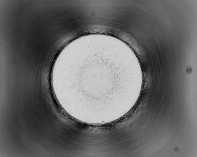 X0000103930538200810311519