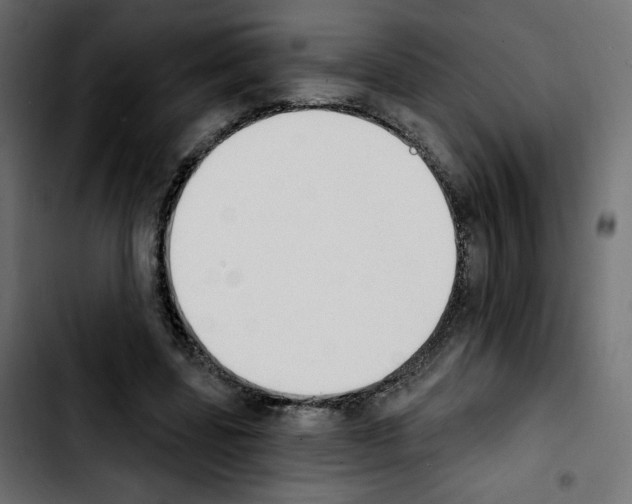 X0000103930539200810311519