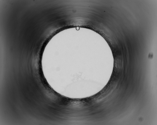 X0000103930540200810311519