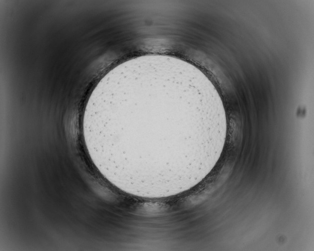 X0000103930541200810311519