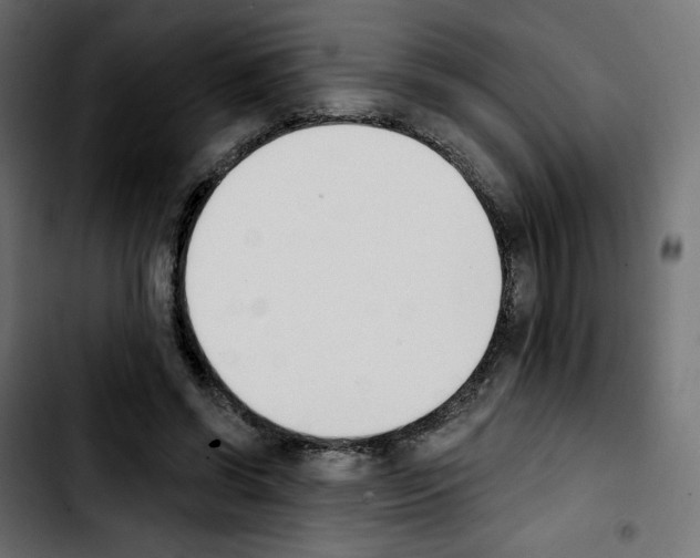 X0000103930542200810311519