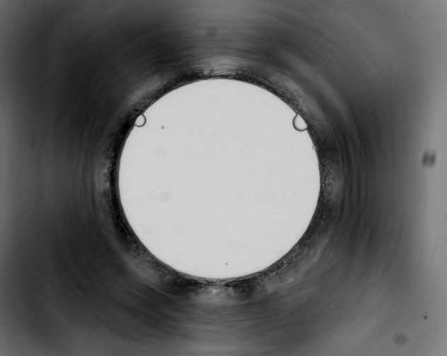 X0000103930543200810311519