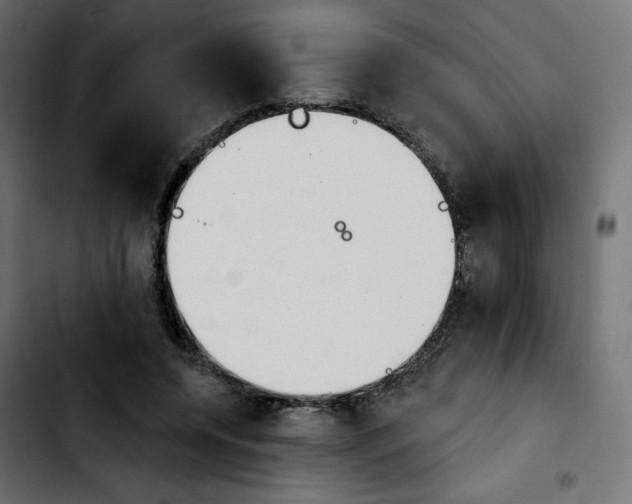 X0000103930544200810311519