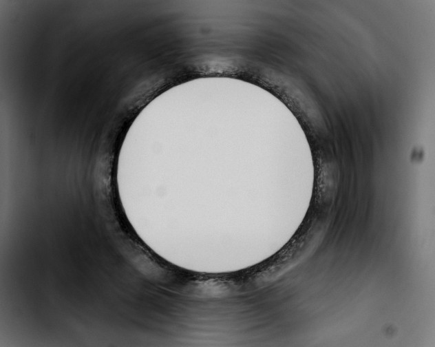 X0000103930545200810311519