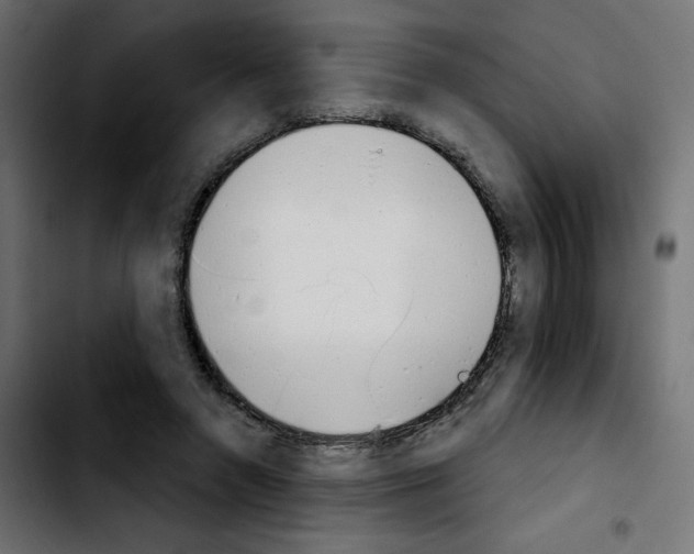 X0000103930546200810311519