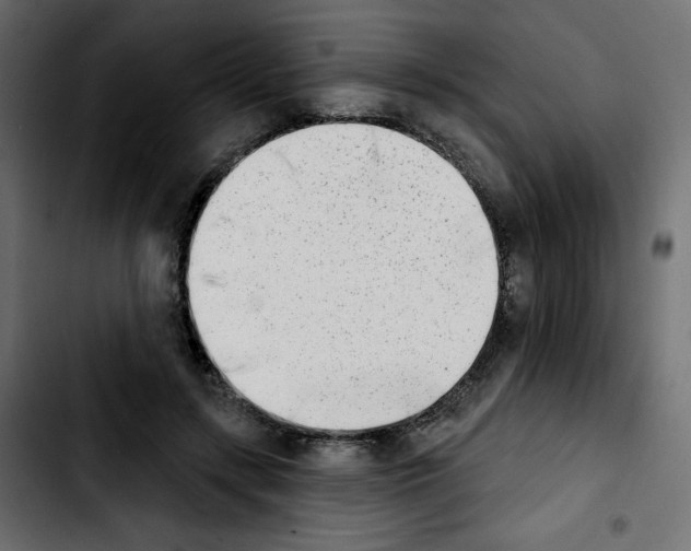 X0000103930547200810311519