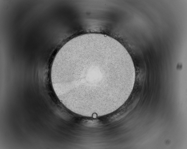 X0000103930548200810311519