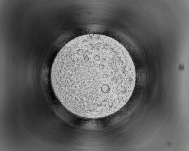 X0000103930550200810311519