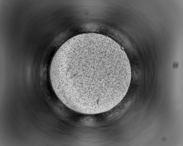 X0000103930551200810311519