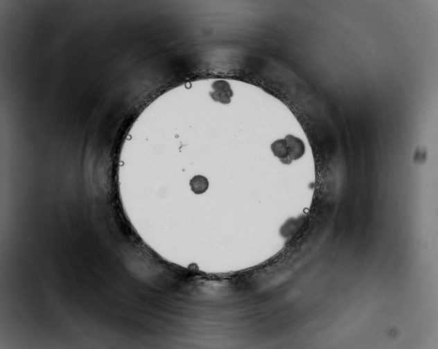 X0000103930552200810311519