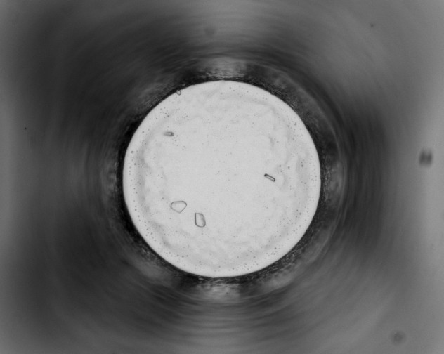 X0000103930553200810311519