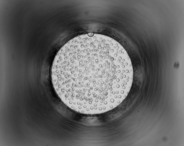 X0000103930554200810311519