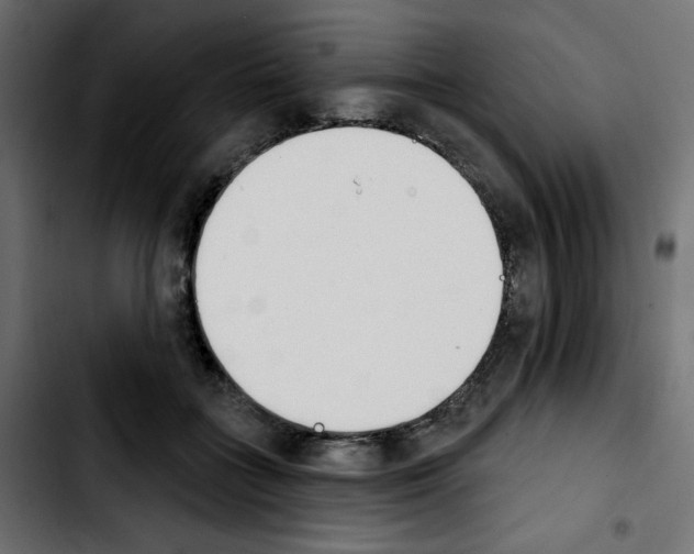 X0000103930555200810311519