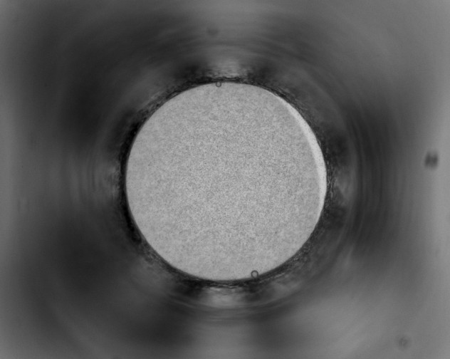 X0000103930556200810311519