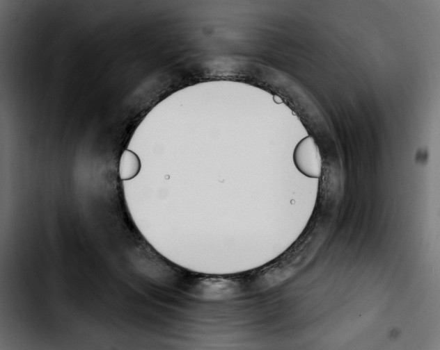 X0000103930557200810311519