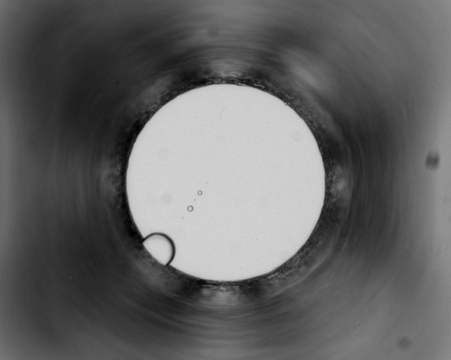X0000103930559200810311519