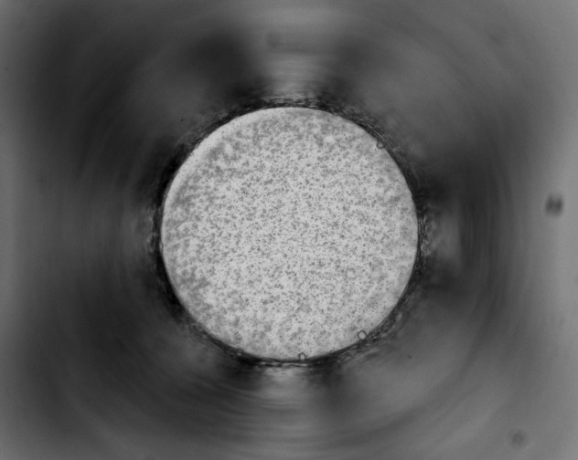 X0000103930560200810311519