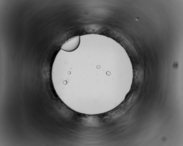 X0000103930561200810311519