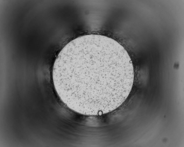 X0000103930562200810311519