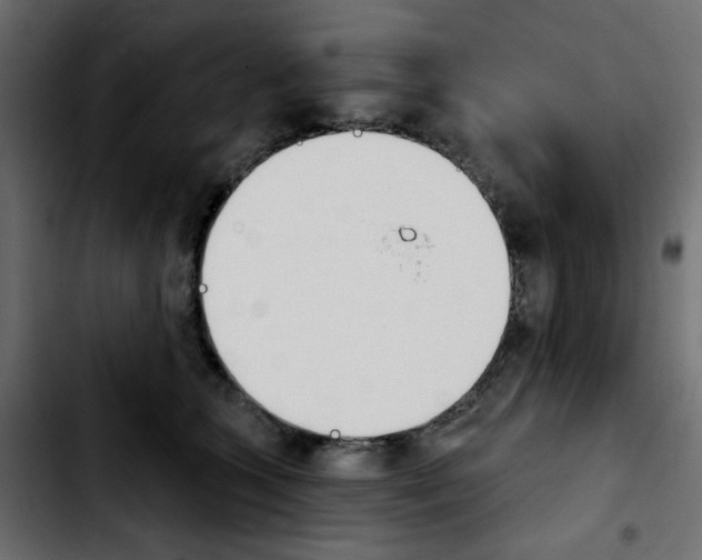 X0000103930563200810311519