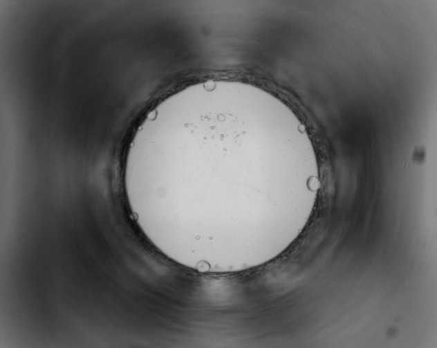 X0000103930564200810311519