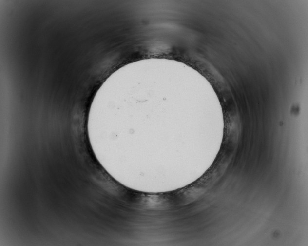 X0000103930565200810311519